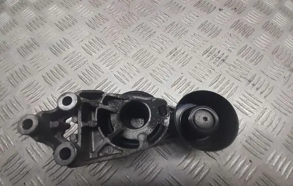 Skoda Fabia Mk1 (6Y) Alternator belt tensioner pulley ABCDE444-44