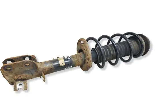 Suzuki Vitara (LY) Front shock absorber with coil spring 4160254PA0