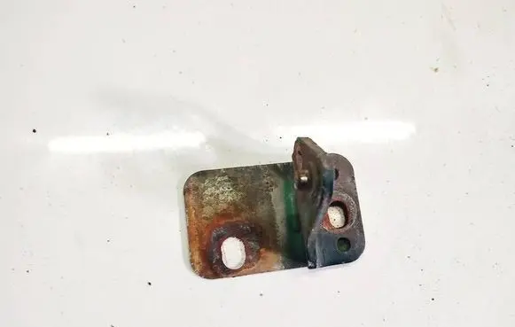 Volkswagen PASSAT B5 Rear door lock loop/hook striker 