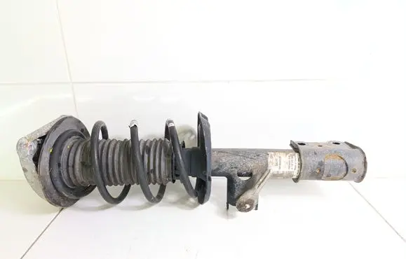 Front shock absorber with coil spring