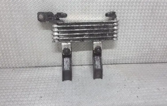 Hyundai Santa Fe Power steering radiator 2546026510