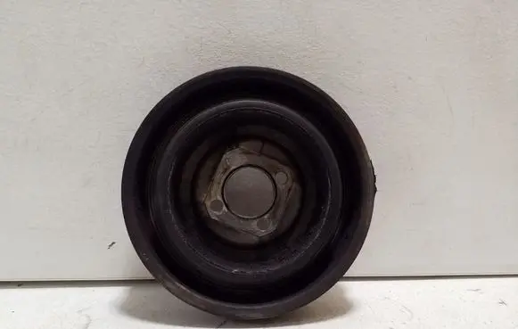 Fiat 500L Crankshaft pulley 55200498