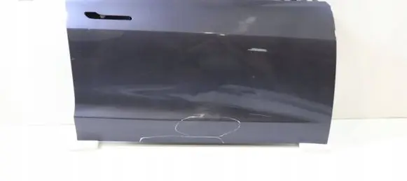 Tesla Model 3 Front door 1081420-E0-C