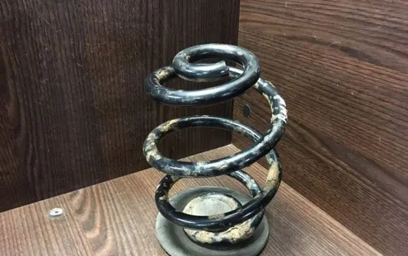 BMW 3 E46 Rear coil spring 1094518