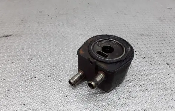 Peugeot 406 Oil filter mounting bracket