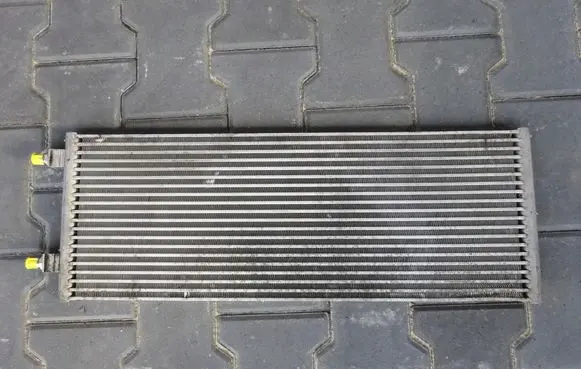 Opel Ampera Engine oil radiator 20925997