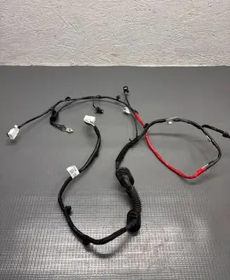 Hyundai Ioniq 5 Rear door wiring loom 91650GI180AB
