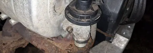 EGR valve