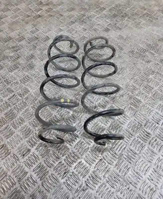 Rear coil spring