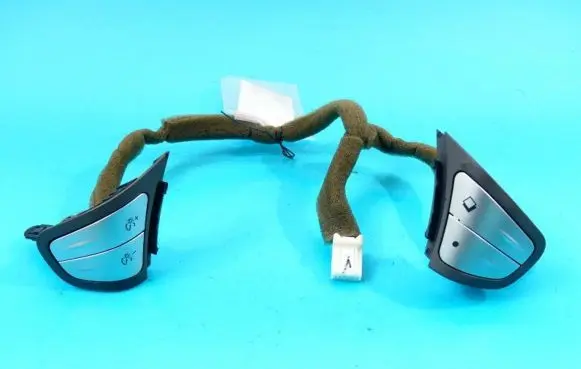 Multifunctional control switch/knob