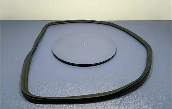 Audi A4 S4 B7 8E 8H Front door rubber seal 7336046