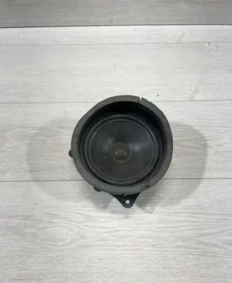 Rear door speaker