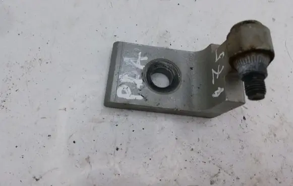 BMW 5 E60 E61 Front door lower hinge 7068078