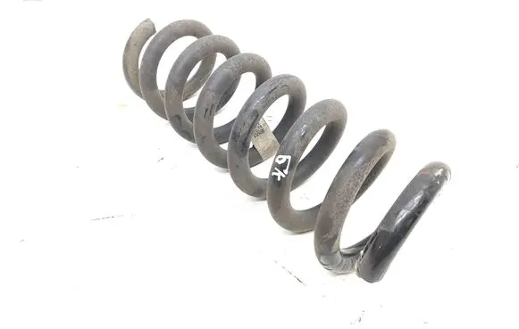 Rear coil spring