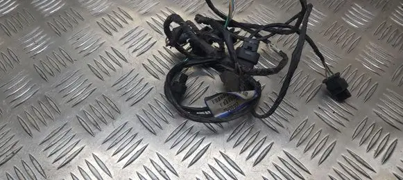 Renault Laguna III Parking sensor (PDC) wiring loom 20103463