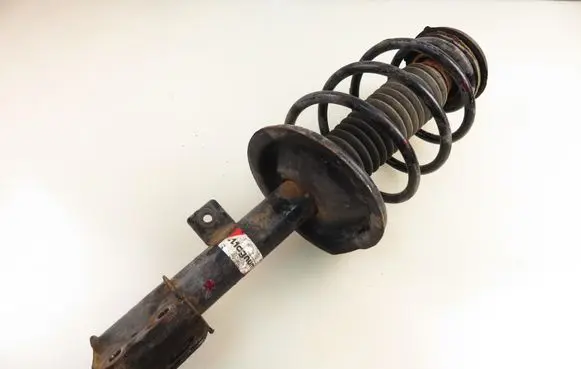 Citroen C4 I Front shock absorber with coil spring AGP107MT