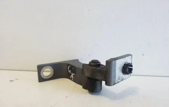 Rear door lower hinge