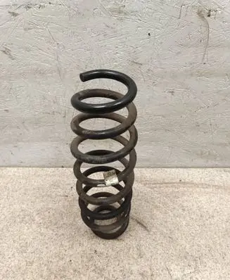 Rear coil spring