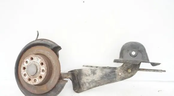 Volkswagen Golf Plus Rear wheel bearing hub 