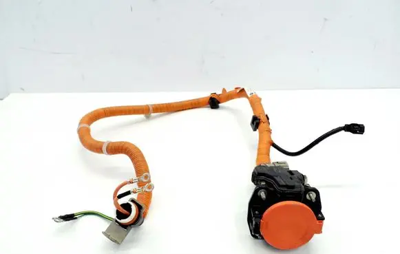 Nissan Leaf II (ZE1) Positive cable (battery) 296B15SH0A