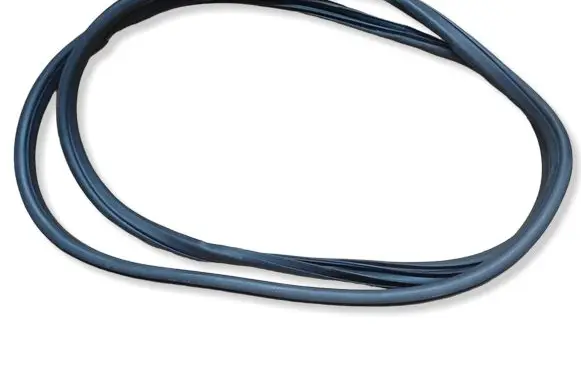 Nissan Juke I F15 Front door rubber seal 