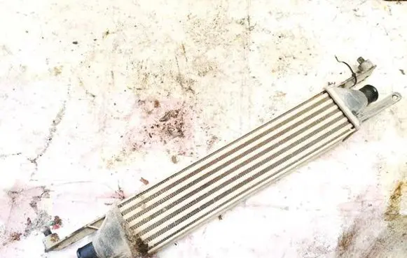 Fiat Punto (188) Intercooler radiator