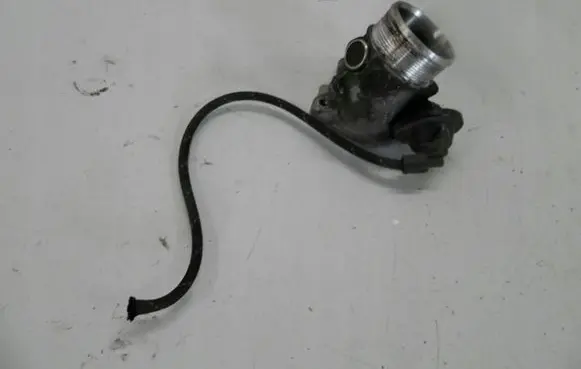 Volkswagen PASSAT B5.5 Electric throttle body valve 