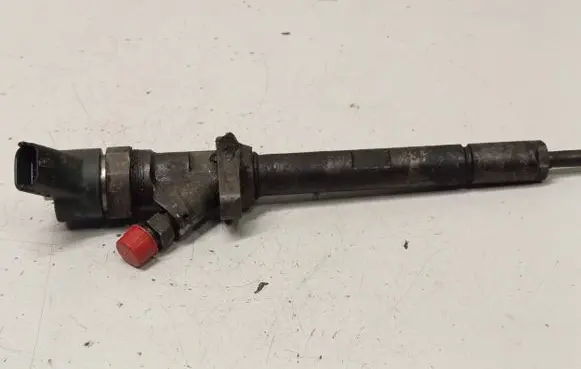 Peugeot 607 Fuel injector 0445110036 9637277980