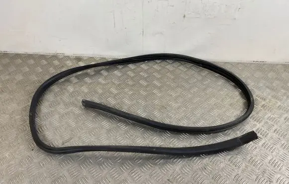 Subaru Outback (BT) Front door rubber seal