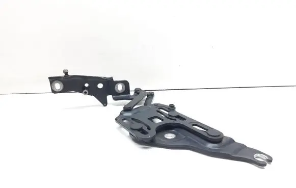 BMW X5 E70 Engine bonnet/hood hinges 7148348