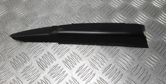 Rear/tail light trim molding