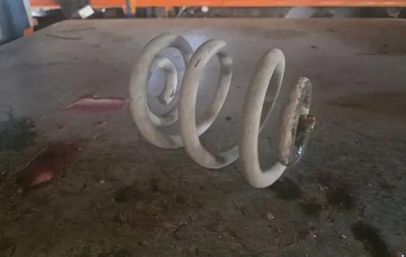 Rear coil spring