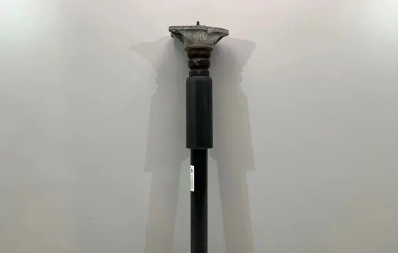 BMW X2 F39 Rear shock absorber/damper 6888463