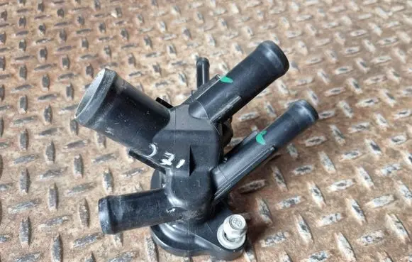 Thermostat/thermostat housing