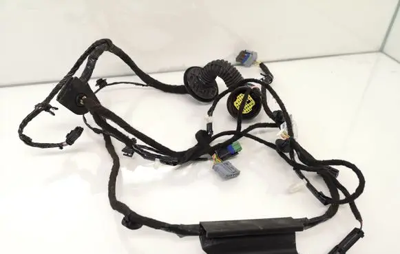 Citroen C6 Rear door wiring loom 9662314080 55PZ24206