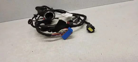 Fiat Bravo Front door wiring loom 51753078