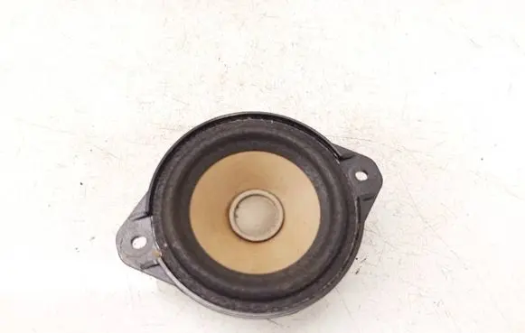 Tesla Model S Front door speaker 100483301A