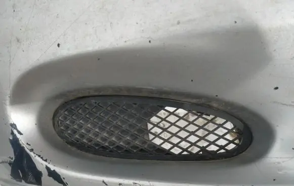 Mercedes-Benz S W220 Front bumper lower grill