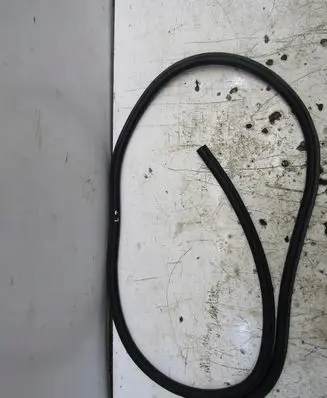 Ford Focus Rubber seal rear door 1111