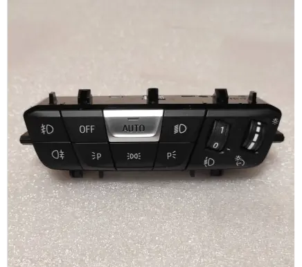 BMW 2 F44 Light switch 5A16AB7