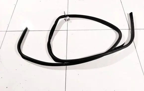 Dodge Journey Rubber seal rear door 
