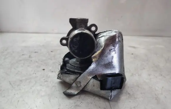 EGR valve