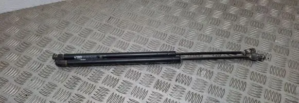 Opel Zafira A Tailgate/trunk strut/damper GS601113590P 16062