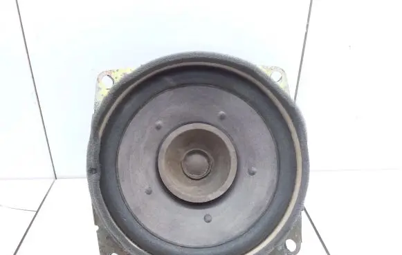 Front door speaker