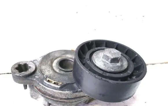 Volvo XC70 Timing belt/chain tensioner 31330379