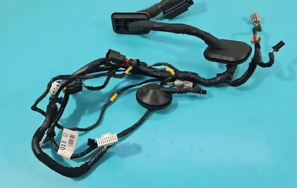 Front door wiring loom