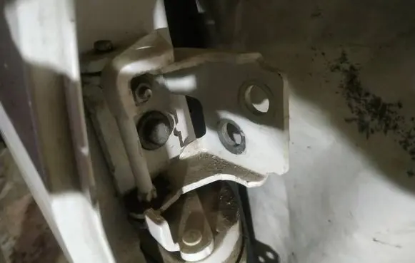 Rear door lower hinge