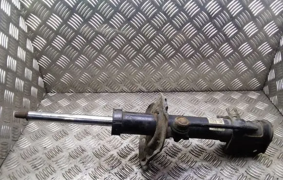 Opel Zafira B Front shock absorber/damper 22214012 24466546
