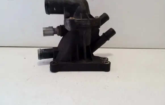 Thermostat/thermostat housing