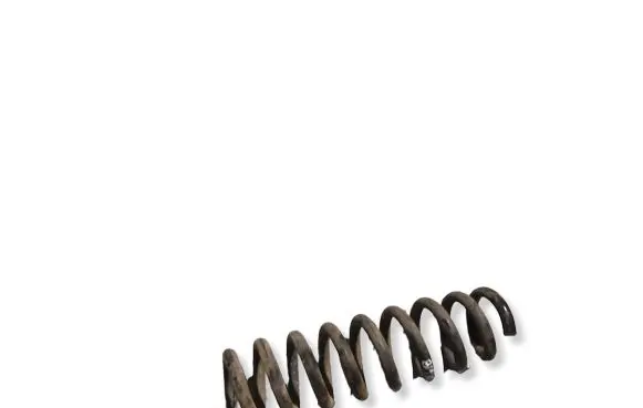 BMW X1 E84 Rear coil spring 